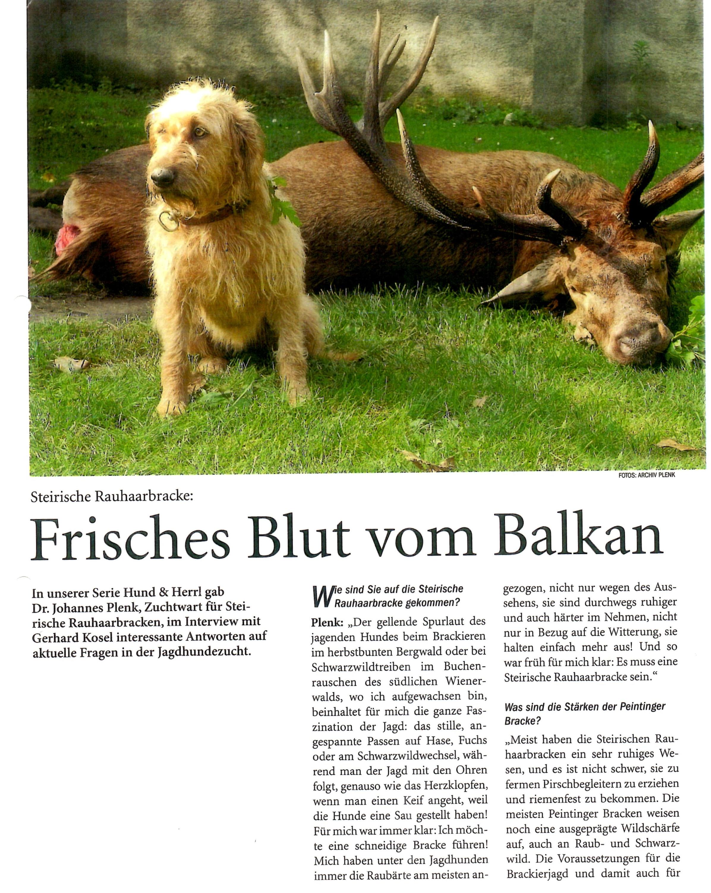Artikel