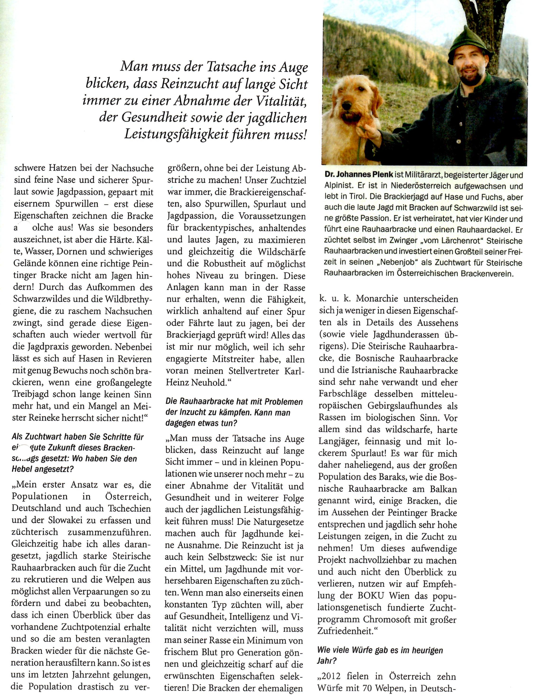 Artikel2