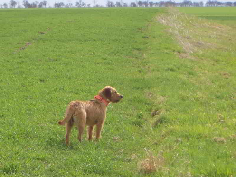 beau4