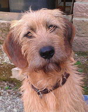Charlie