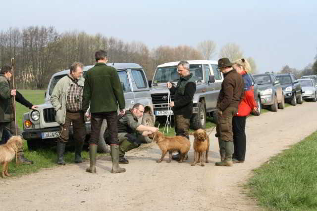 Bild6