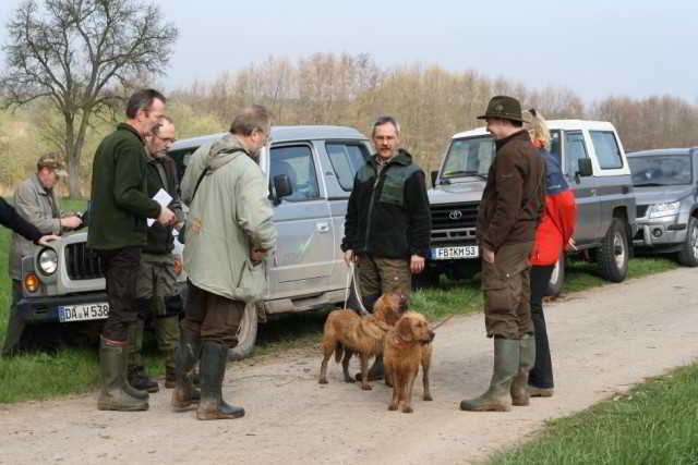 Bild8