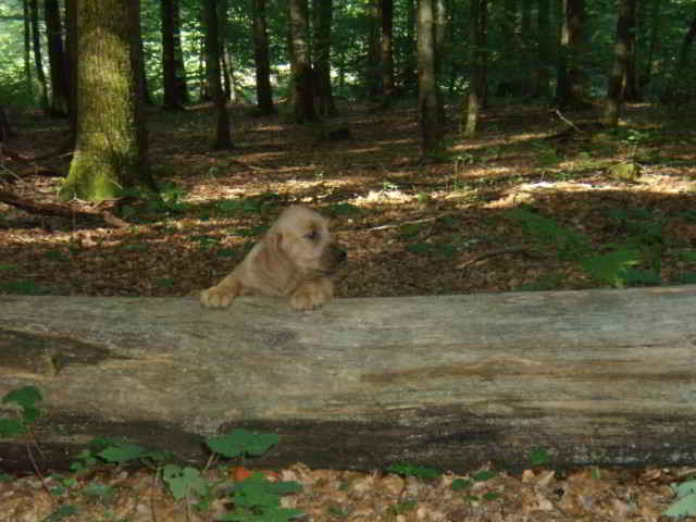 Bild2