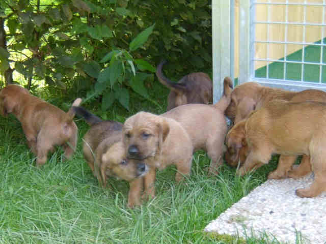 Bild4
