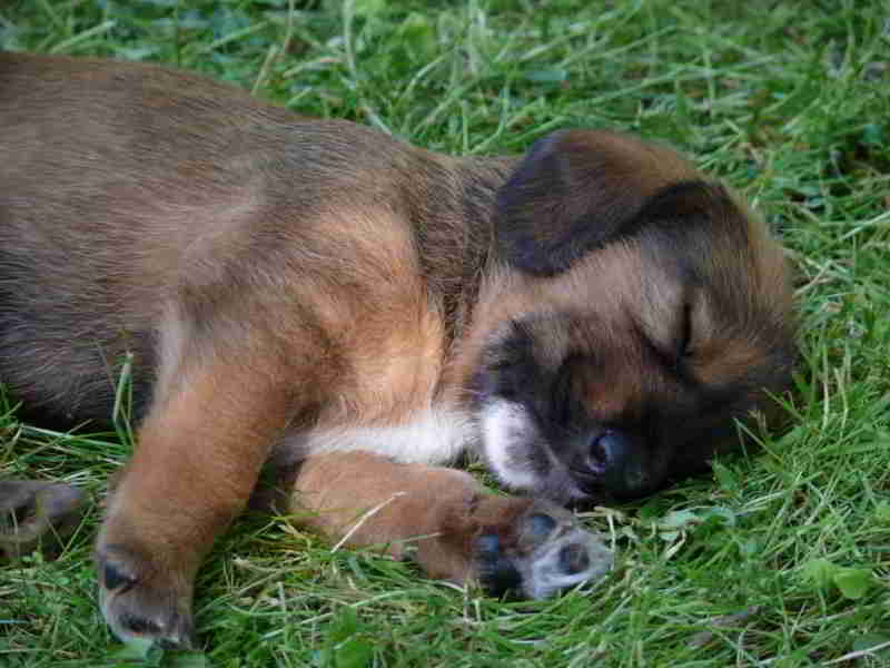Bild8