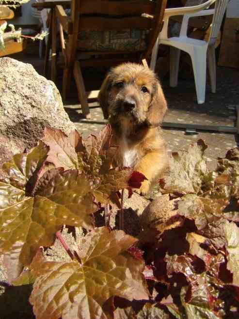 Bild2
