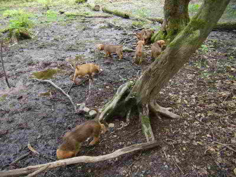 Bild9