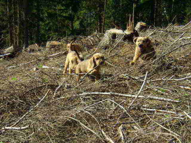 Bild3