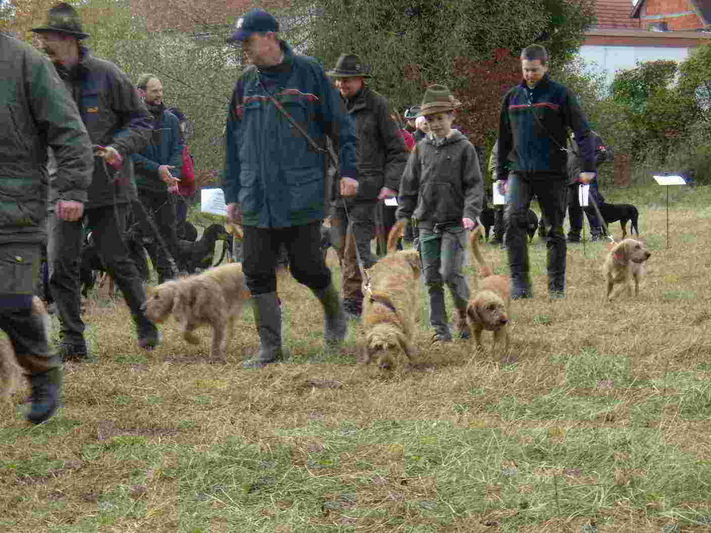 Bild6