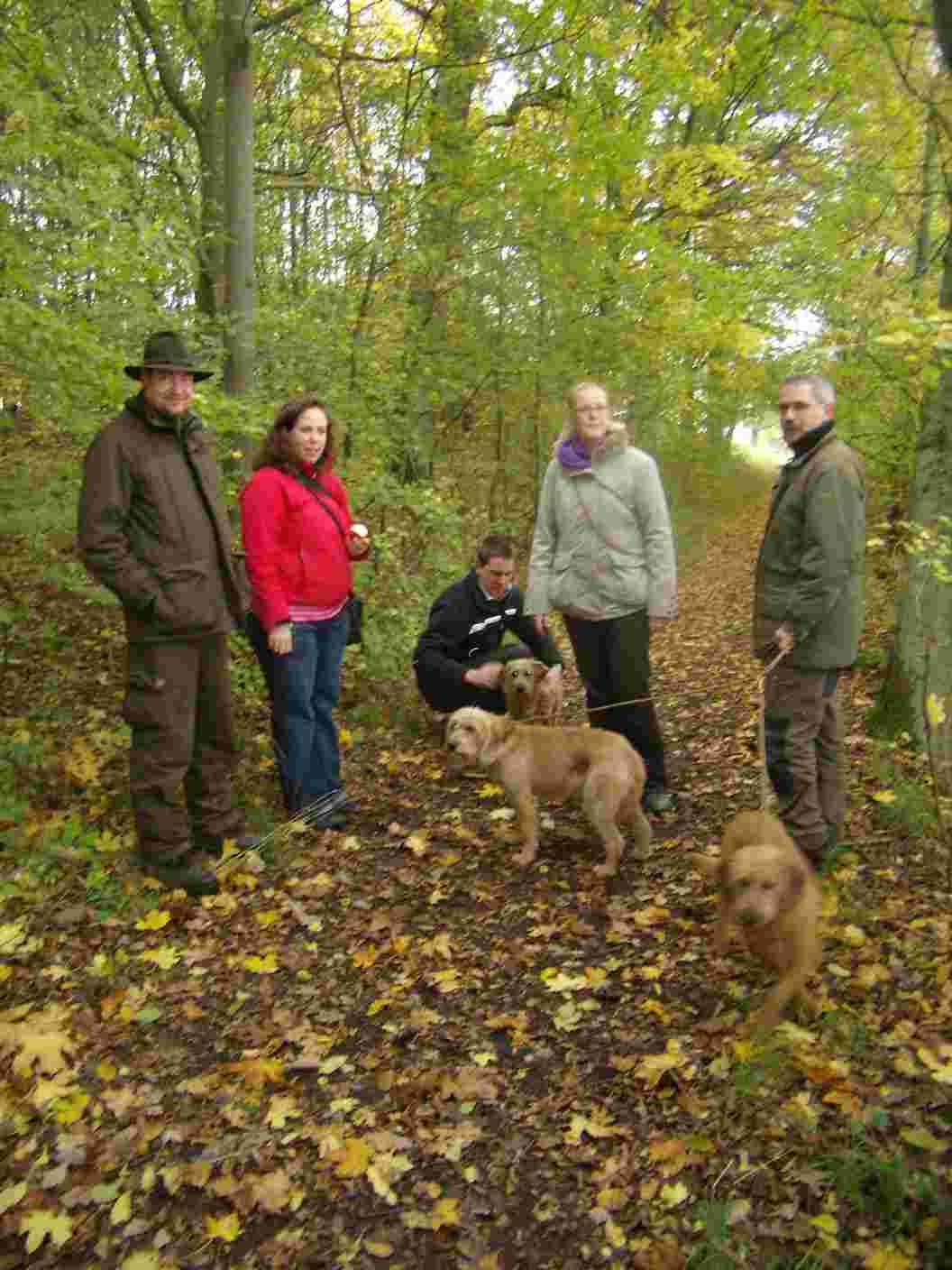 Bild5