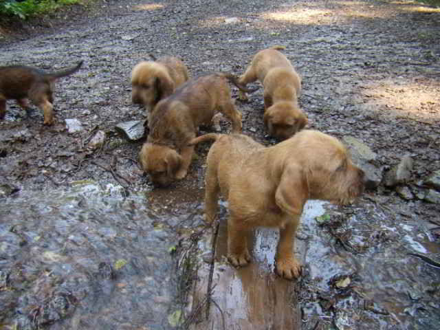 Bild1