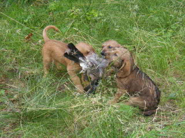 Bild4