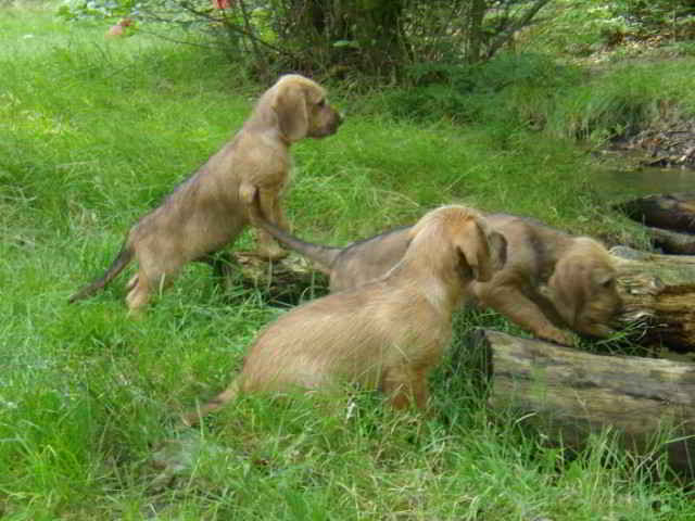 Bild8