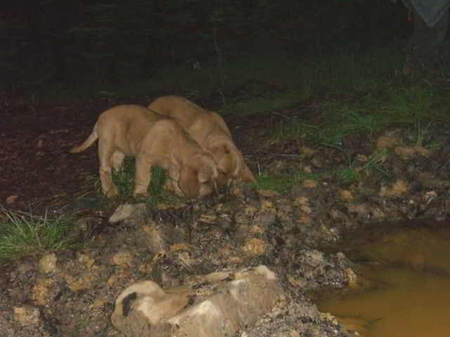 Bild5
