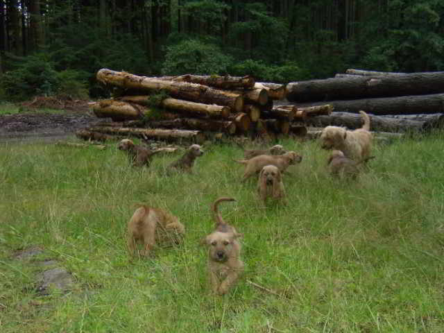 Bild7