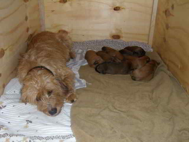 Bild1