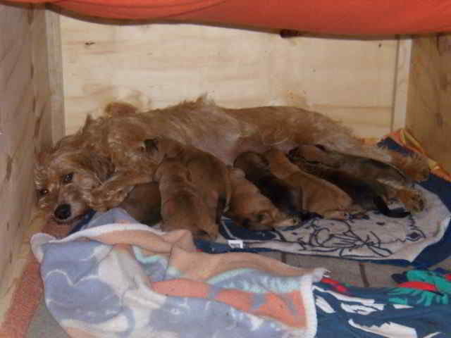 Bild2