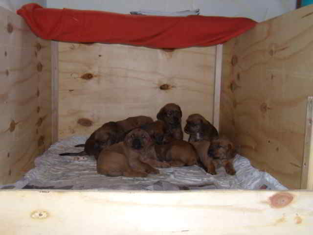 Bild6