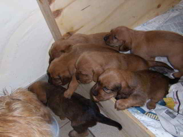 Bild3